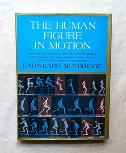 エドワード・マイブリッジ 連続写真集 男性・女性 洋書 Eadweard Muybridge The Figure in Motion 人間 モーション写真