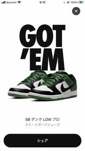 【新品未使用】【２７cm】【送料無料】Nike SB Dunk Low Classic Green ダンク　クラシック　グリーン