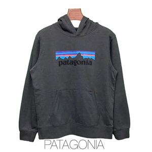 Patagonia ,パタゴニア ,パーカー ,フーディー, グレー, 古着 ,レディース, XXLサイズ