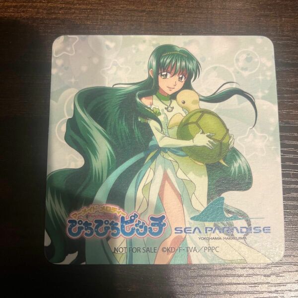 マーメイドメロディぴちぴちピッチ20周年八景島シーパラダイス　リナ　コースター