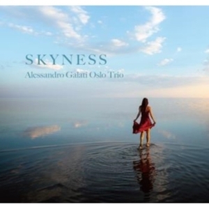 【新宿ALTA】 新品 Alessandro Galati/Skyness【2021 レコードの日 限定盤】(アナログレコード/寺島レコード)(TYLP1098)
