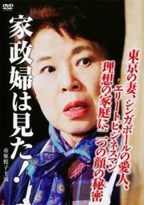 家政婦は見た!東京の妻、シンガポールの愛人、エリートビジネスマン 理想の家庭に二つの顔の秘密 レンタル落ち 中古 DVD ケース無