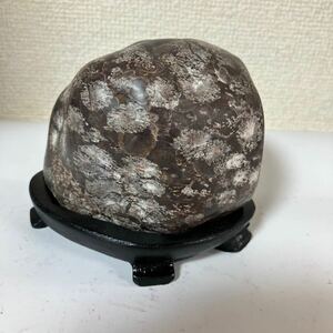 白山菊紋石　鑑賞石　水石