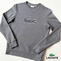 ラコステ LACOSTE クルーネック プルオーバー スウェット FR3 (日本M) 杢 グレー ビッグロゴ トレーナー SH3882_画像2