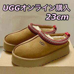 正規品 ugg tazz Chestnut 23cm アグ タズ チェスナット