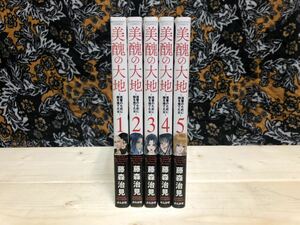 美醜の大地 １，２，３，４，５巻 藤森 治見 ぶんか社 復讐 犯罪 逆襲 リベンジ 整形手術 いじめ 漫画 コミック 帯付 美品