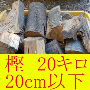 【約20キロ】樫 20cm以下◆乾燥薪 大割 ◆暖炉・薪ストーブ・キャンプ