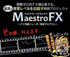 〈完全版〉マエストロFX〈全26講,補講,概要,チャート分析講座〉+〈FX検証jpマエストロFXトレーニング動画冊子版PDF全1822,限定特典〉