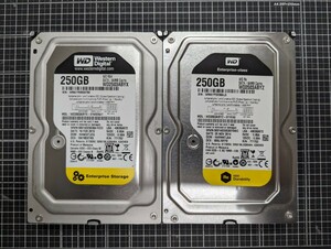 0118-12 WD HDD 3.5インチ 250GB 2枚セット