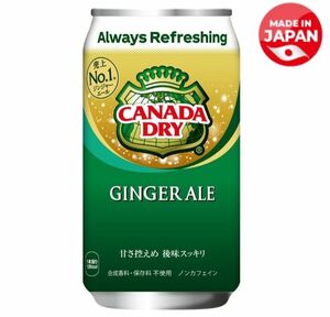 ジンジャーエール　350ml 30缶