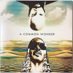 Common Wonder / Common vs. Stevie Wonder レコード