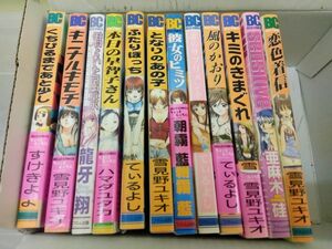 青年コミック12冊セット　雪見野ユキオ　てぃるよし　すけきよ　朝霧藍　龍牙翔　ハマダユタカ　亜麻木硅　オマケ付き