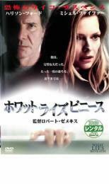 ホワット・ライズ・ビニース レンタル落ち 中古 DVD