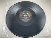 US盤　LP　REDD KROSS　TEEN BABES FROM MONSANTO (A Rock and Roll Retrospective)_画像4