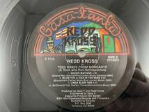 US盤　LP　REDD KROSS　TEEN BABES FROM MONSANTO (A Rock and Roll Retrospective)_画像5