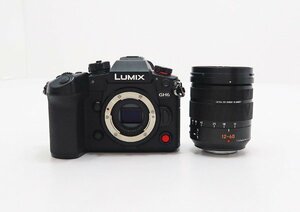 ◇美品【Panasonic パナソニック】LUMIX DC-GH6L 標準ズームレンズキット ミラーレス一眼カメラ