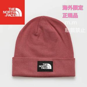 THE NORTH FACE ザノースフェイス ボックスロゴ ニット帽 ビーニー 海外限定 ニットキャップ Beanie 正規 メンズ レディース ピンク ローズ