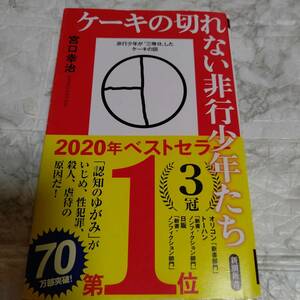 ケーキの切れない非行少年たち 宮口幸治