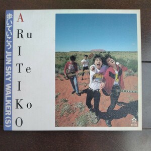 CD JUN SKY WALKER(S) [歩いていこう］