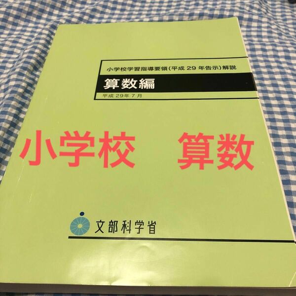 小学校学習指導要領〈平成２９年告示〉解説　算数編 文部科学省／〔著〕　小学校　算数