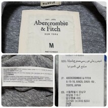 Abercrombie＆Fitch アバクロンビー アンド フィッチ　メンズ 半袖Tシャツ グレー サイズM_画像3