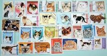 ◇ ねこ 世界の ネコ の 切手 猫 cat スタンプ 約100枚 ◇ 大幅値下げ-再入荷_画像3