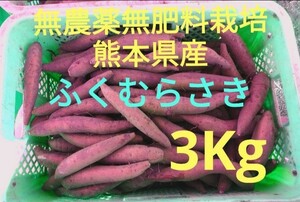 ●無農薬無肥料栽培●熊本県産●ふくむらさき（紫芋）●3Kg
