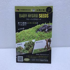 未使用　神畑　ベビーハイグロシード　水草の種　水草の草原　BABY HYGRO SEEDS カミハタ