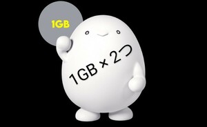 povo povo2.0 1GB ×2 2GB分 1ギガ ギガ活 プロモコード パケット