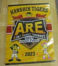 非売品　阪神タイガース×ジョーシン　2023優勝記念　ARE（アレ）　A4クリアファイル_画像1