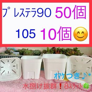 F②④ プレステラお得ｾｯﾄ★ 【90ｻｲｽﾞ50個】【105ｻｲｽﾞ10個】