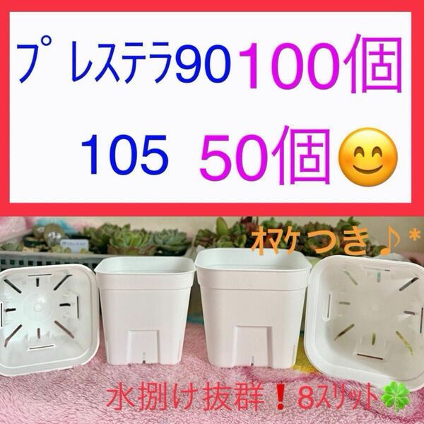 F②② プレステラお得ｾｯﾄ★ 【90ｻｲｽﾞ100個】【105ｻｲｽﾞ50個】