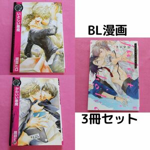 【3冊セット】いとしい悪魔 & かわいい悪魔 & ジュリエットホリック BL漫画 コミック