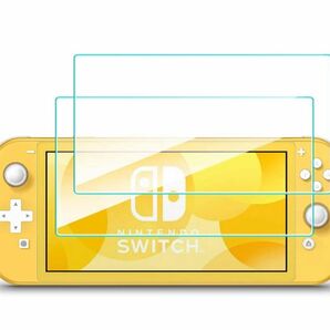 Nintendo Switch Lite ミニフィルム [2枚入] ニンテンドースイッチライト 液晶保護フィルム 