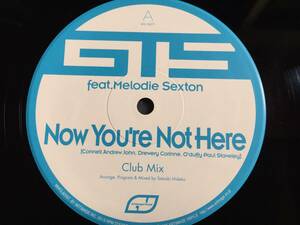 ★GTS Feat. Melodie Sexton / Now You're Not Here / Take To The Sky 12EP ★Qsavj★ Artimage Vinyls AIV-12077