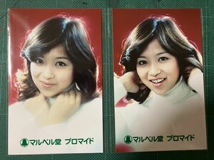 坂口良子　マルベル堂プロマイド写真2枚　白ハイネック　昭和タレント　昭和女優