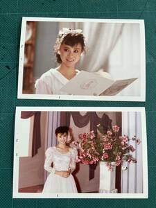 【レア】松田聖子　写真(当時物) リボン　白　80年代アイドル 