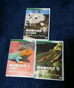 爬虫類の世界 全3巻セット DVD レンタル落