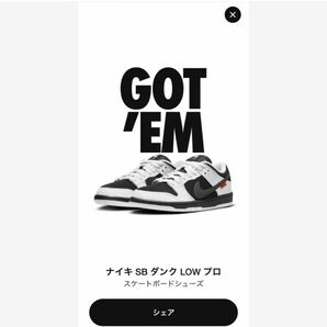 NIKE SB TIGHTBOOTH dunk low タイトブース ダンクロー