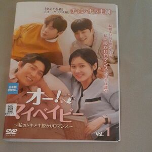 韓国ドラマ DVD　オー！マイベイビー　全32話　