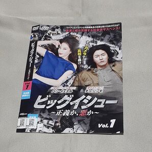 韓国ドラマ DVD ビッグイシュー~正義か、悪か~ 全32話