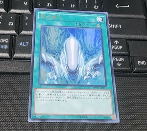 遊戯王　竜の闘志　MVP1　ウルトラレア　KC　即決