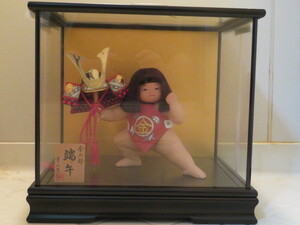  сосна мыс кукла золотой Taro . человек коробка для куклы украшение 7 номер . золотой futoshi край .