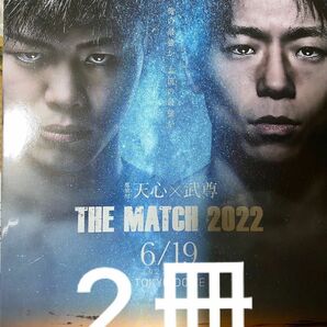 THE MATCH 2022 パンフレット　RIZIN 2冊