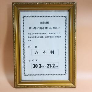 フォトフレーム 賞状額縁　前面ガラス仕様　25×36cm (11)