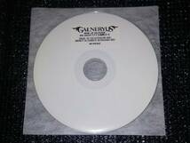 ☆GALNERYUS「ANGEL OF SALVATION」国内盤 ディスクユニオン特典CD-R付_画像3