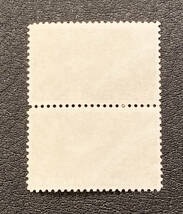 【外国切手】アメリカ　1962年　マーキュリー計画　縦ペア　未使用♪_画像2
