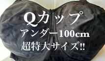 新品未使用　タグ付き　Qカップ■アンダー100■ブラジャー■超大きいサイズ■特大サイズ■グラマーサイズ　ブラック_画像1