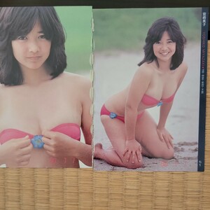 宮崎美子　文庫サイズ切り抜き3ページ　水着　