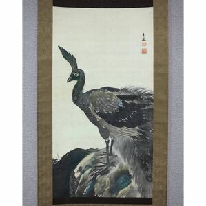 Art hand Auction 【真品】【风车】望月金峰孔雀 ◎手绘丝绸 ◎明治时期, 大阪本地人, 文顿法官, 师从森仁保, 西山宽荣, 绘画, 日本画, 花鸟, 野生动物